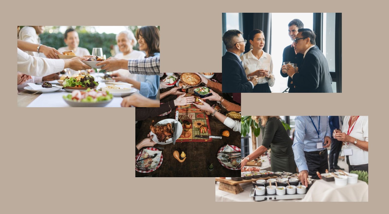 Curated Events — Alchemy Life